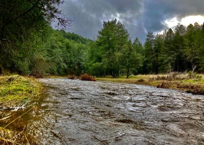 Río