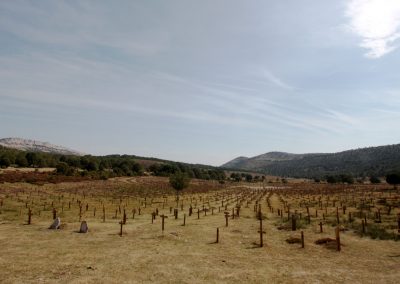 Cementerio Sad Hill